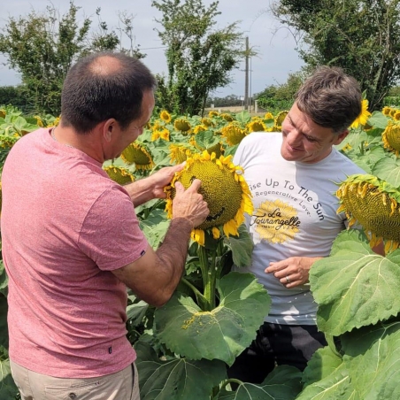 Cultivée produite circuit court, l'huile tournesol Tourangelle