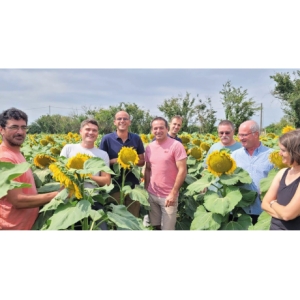 Tournesol vierge Bio - Grossiste en Huiles Bio - Keramis