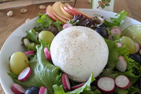 salade burrata jeunes pousses